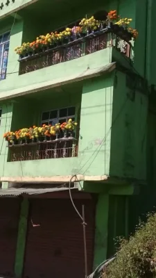 Фото балконов с цветами