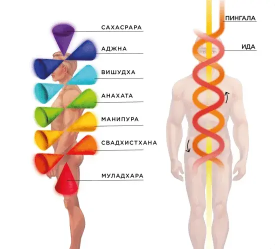 рисунок чакральной системы