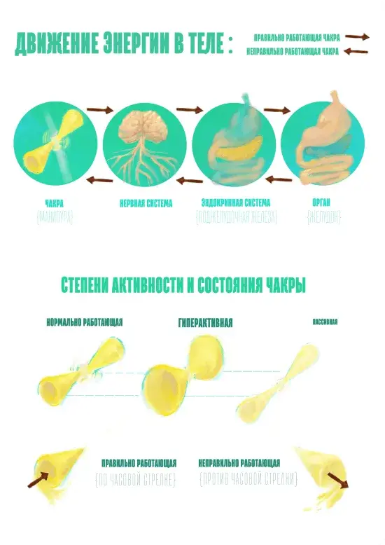 рисунок схемы движения энергии в теле