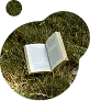 Открытая книга на траве, символизирующая чтение и природу.