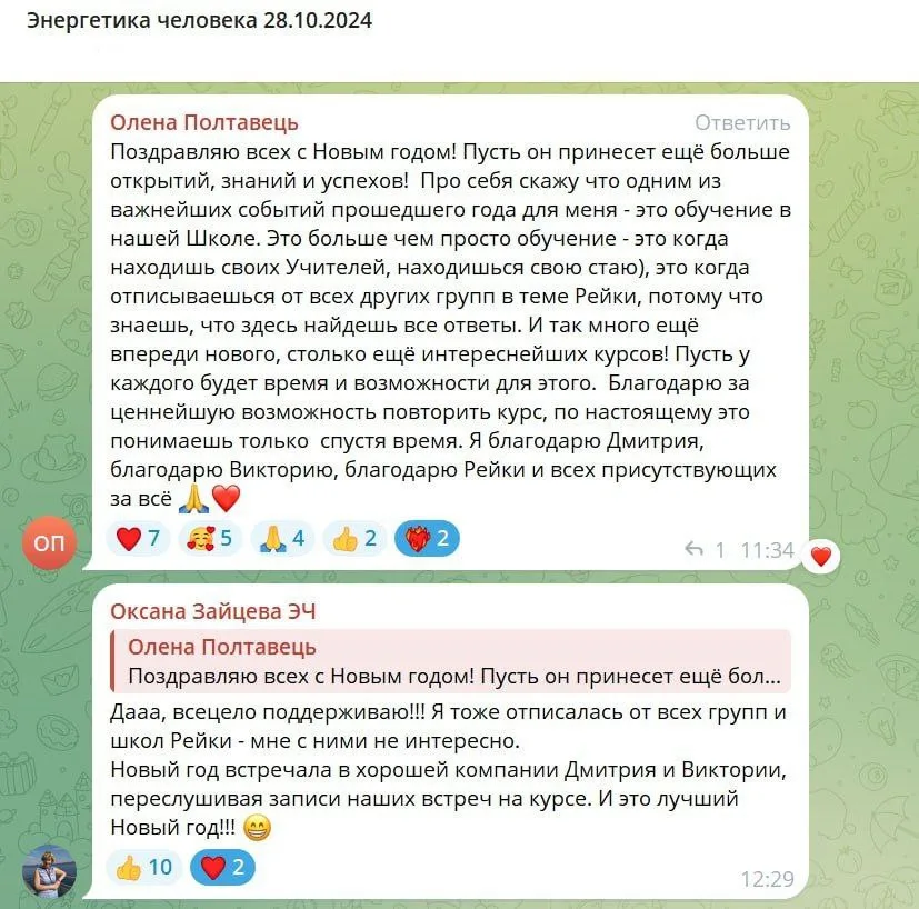 Обсуждение поздравлений с Новым годом в чате, акцент на обучение в школе Рейки и благодарности участникам.
