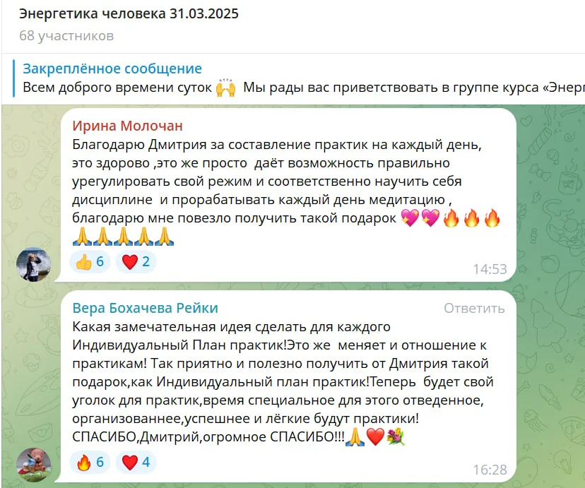 Обсуждение участников группы курса "Энергетика человека" о практиках для ежедневного использования, включая благодарности Дмитрию за его вклад в составление индивидуальных планов и медитаций.