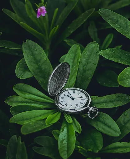 Проработаете 7 чакр